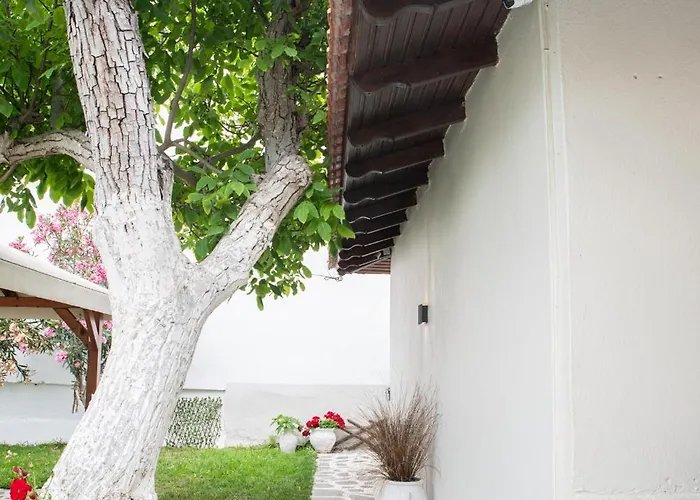 فندق Ostria سكالا بوتامياس